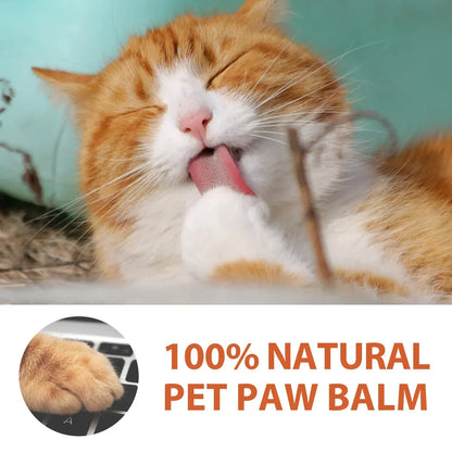 Pet Paw Care Cream and Cleaner for Dogs and Cats - Moisturizing Balm for Healthy Paws, 30G
