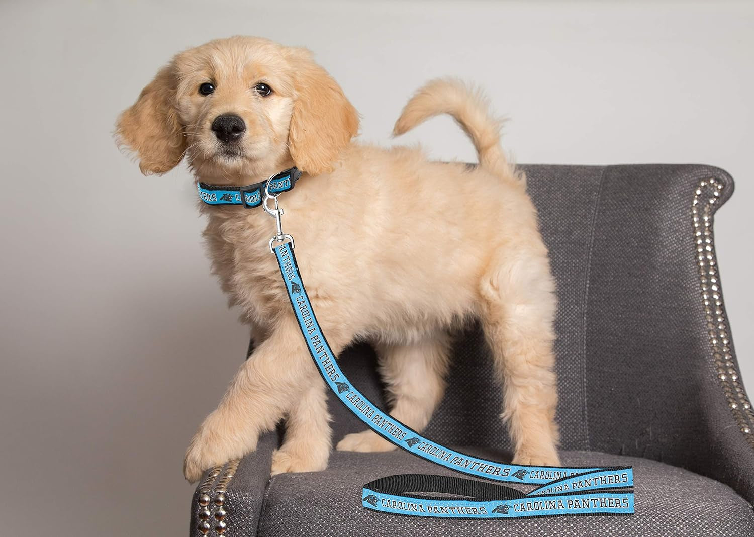 NFL Licensed Carolina Panthers Large Pet Leash - Durable Satin Dog and Cat Walking Strap with Embroidered Team Name and Logo