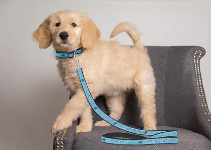 NFL Licensed Carolina Panthers Large Pet Leash - Durable Satin Dog and Cat Walking Strap with Embroidered Team Name and Logo