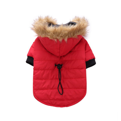 Premium Winter Apparel for Pets
