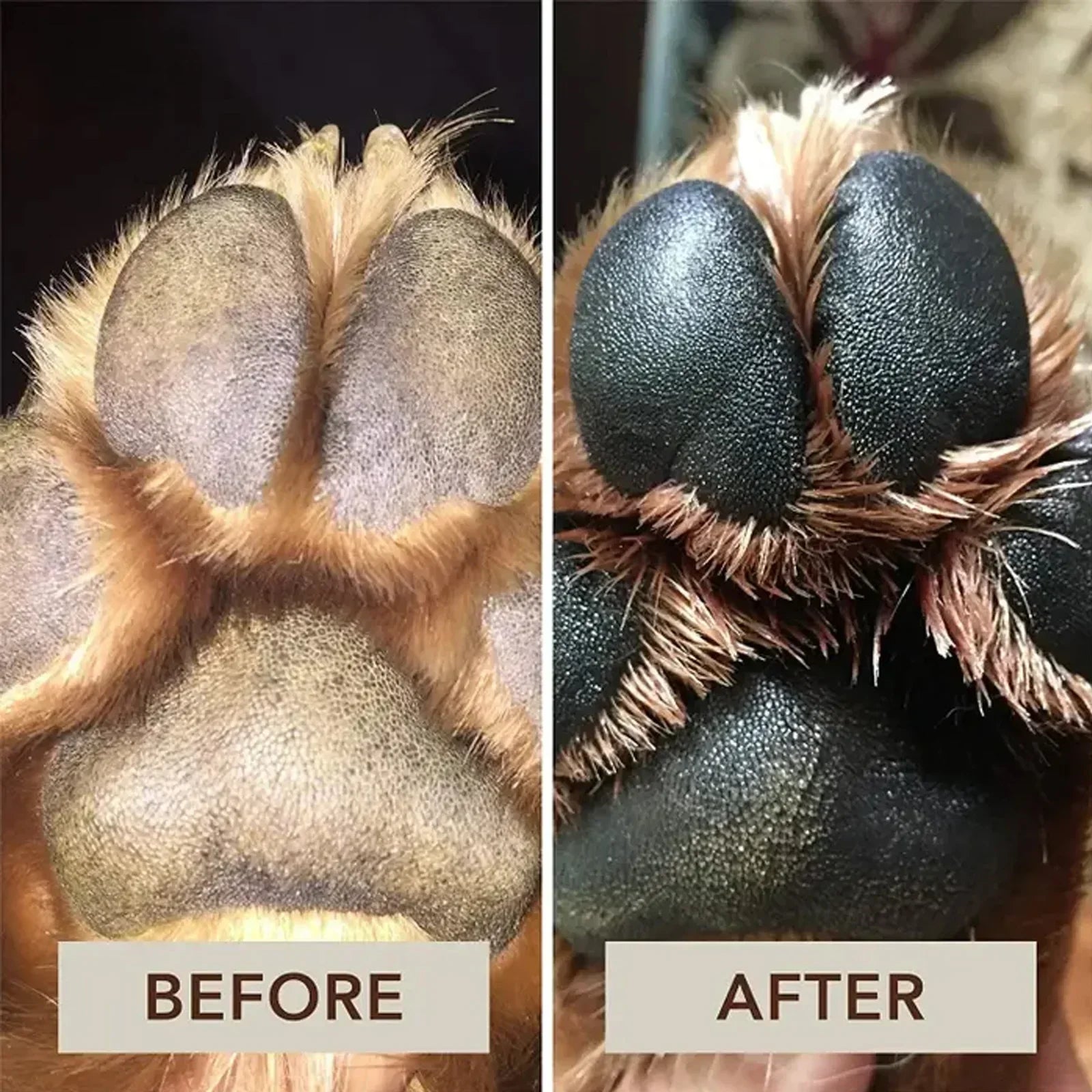 Pet Paw Care Cream and Cleaner for Dogs and Cats - Moisturizing Balm for Healthy Paws, 30G