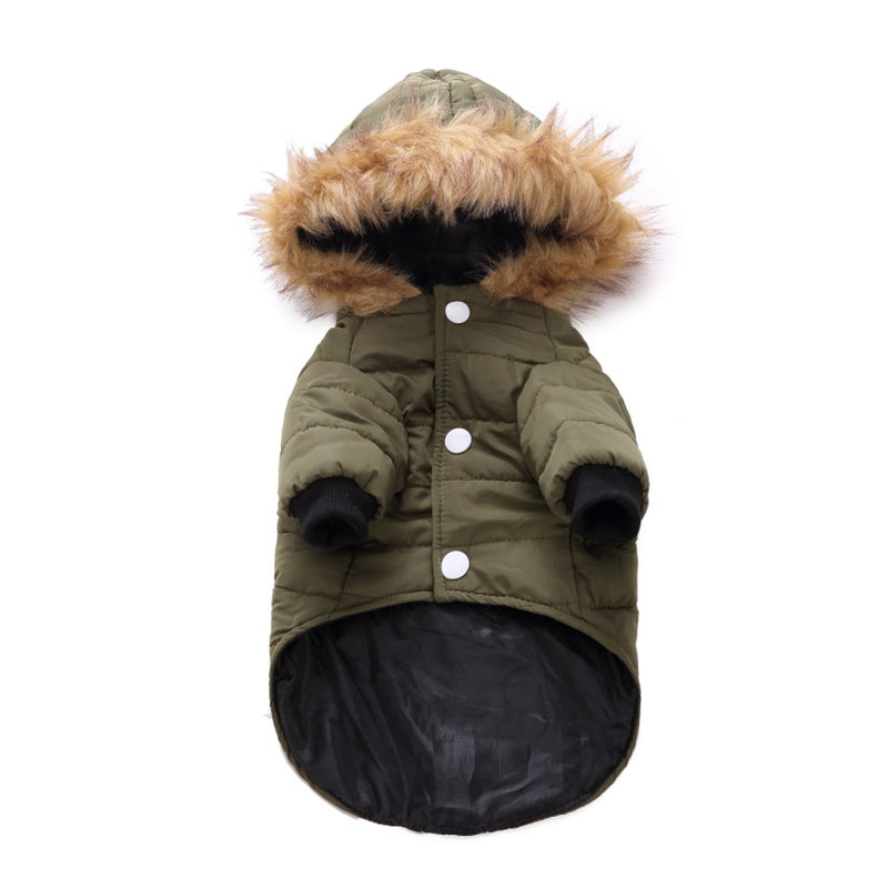 Premium Winter Apparel for Pets