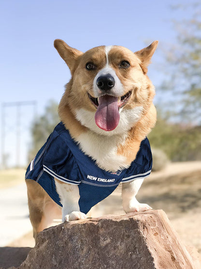 NFL New England Patriots Officially Licensed Dog Jersey, XXX-Large