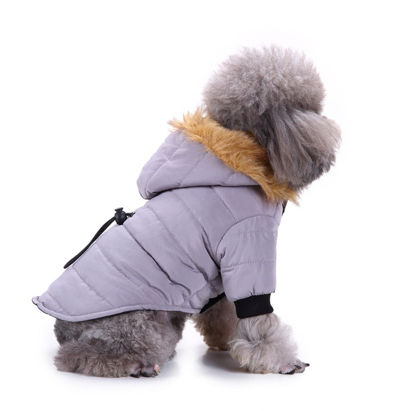 Premium Winter Apparel for Pets
