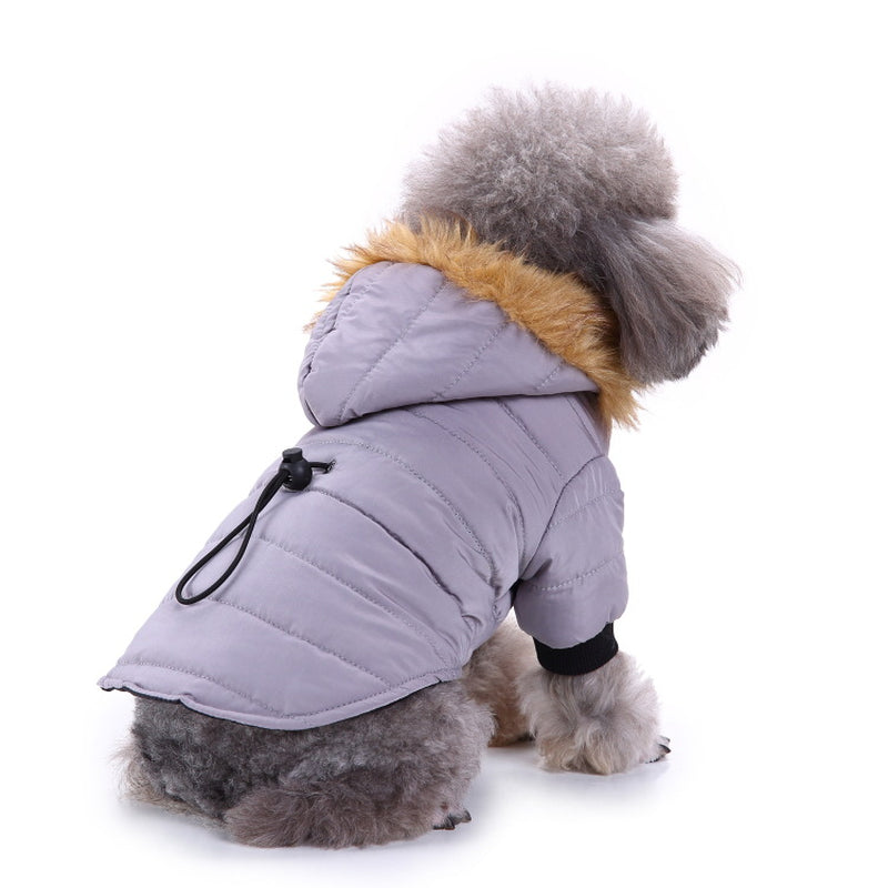 Premium Winter Apparel for Pets